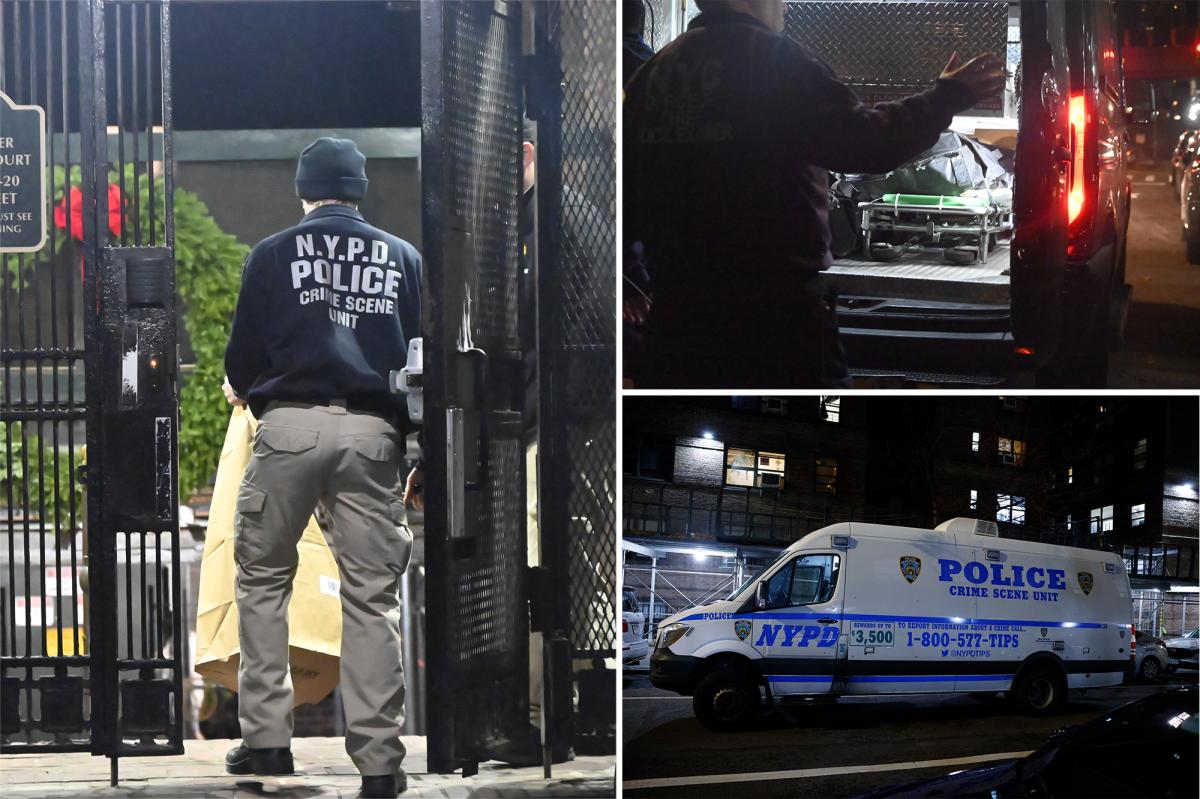 Elderly woman found dead near ‘bloody skateboard’ on LES: police sources