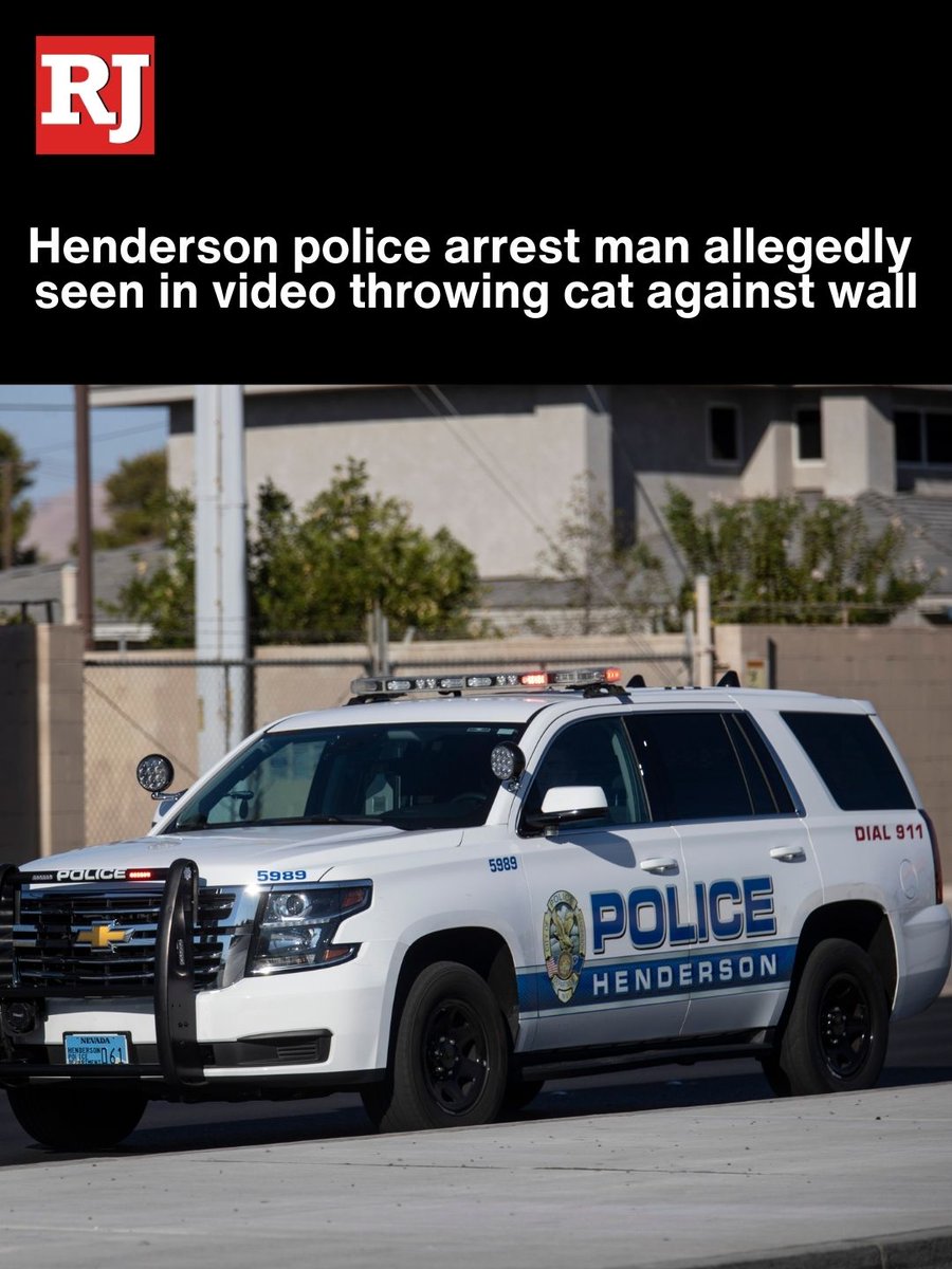 Henderson police launched an investigation into the incident after a woman reported receiving a disturbing video from her partner that depicted him throwing a cat against a wall, the department said in a news release