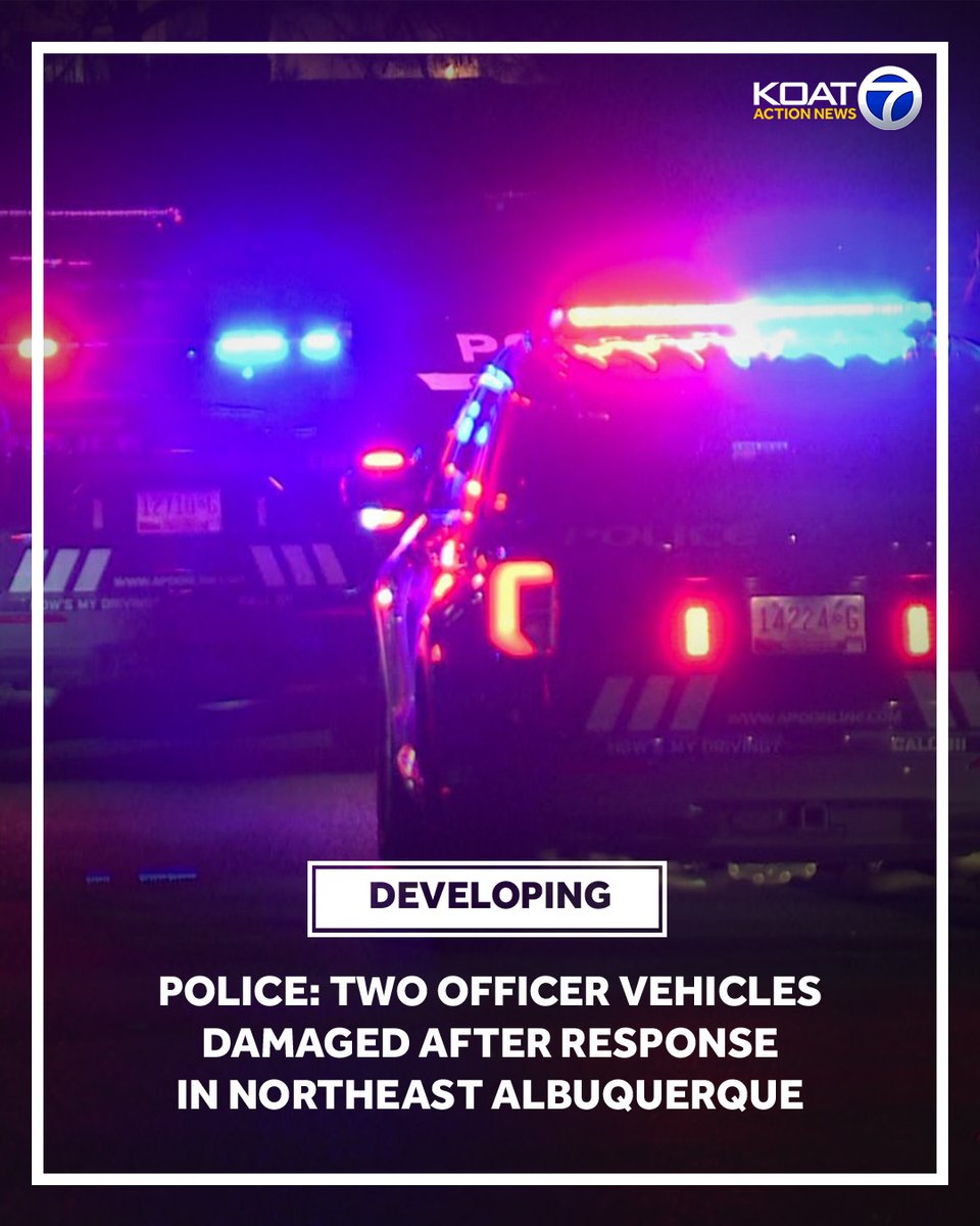 A police spokesperson said a person has been arrested after the northeast Albuquerque response.