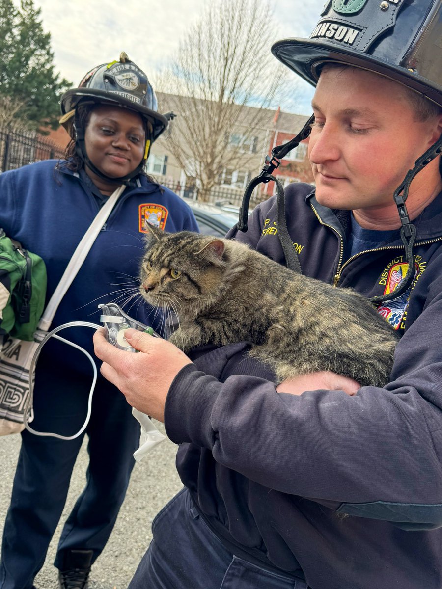 Fire 700 block 12th St SE. Fire 2nd floor apt. 6 story occupied building. Fire knocked down. 1 cat rescued by firefighters treated by EMS. No reported injuries. DC firefighters