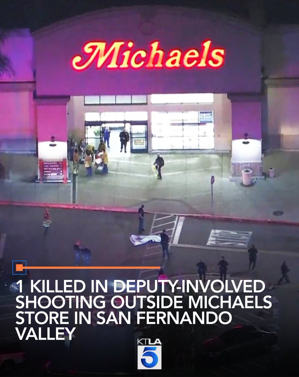 One person was killed after a deputy-involved shooting outside a Michaels store in the San Fernando Valley.