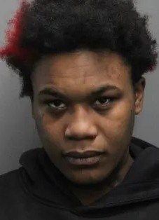 Temp Murder on CTA Train . Briana Bush (23) Charged with Attempted Murder of 24-Year-Old MaleThe above offender was arrested by members of the U.S. Marshals Great Lakes Regional Fugitive Task Force on January 28, 2026, at 9:16 a.m., in the 10400 block of S. State St.