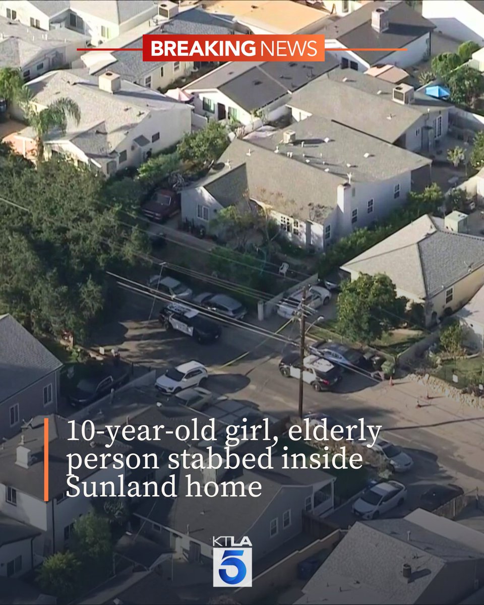 A 10-year-old girl and an elderly person have been stabbed inside a home in Sunland.
