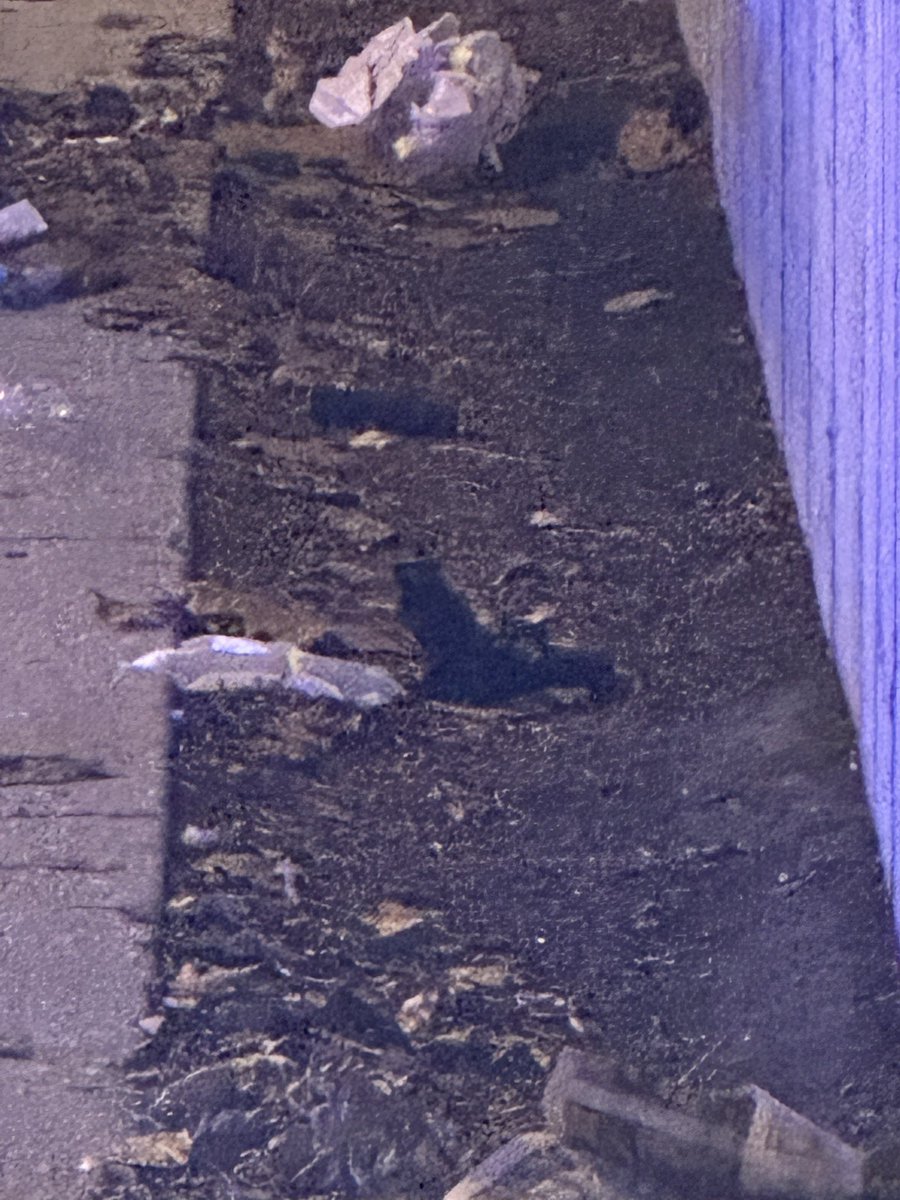 66th & Stony MASS SHOOTING  4 PPL SHOT, 1 KILLED Chicago Police are investigating a Mass Shooting that left 4 ppl wounded, 1 dead near Jackson Park.