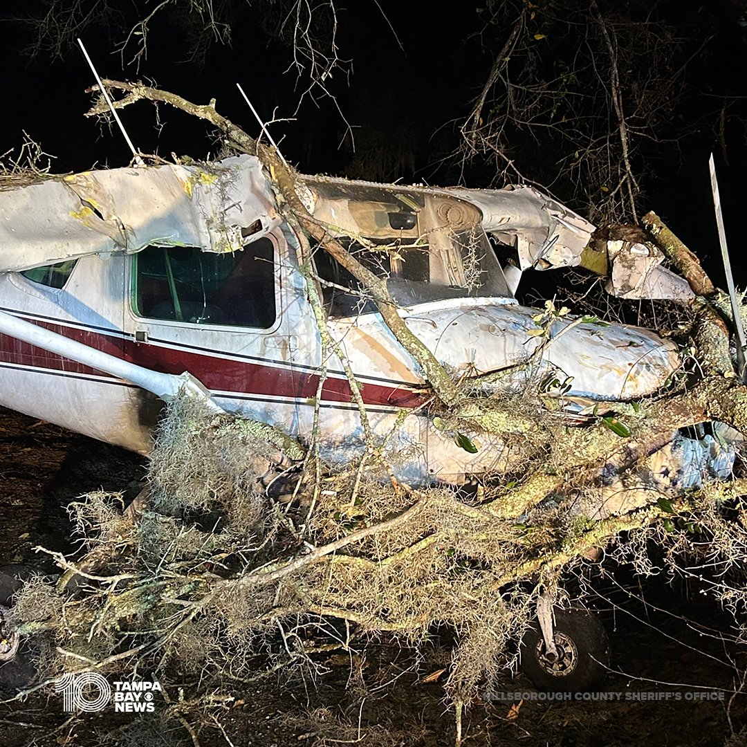 A pilot who was flying a single-engine aircraft walked away uninjured after making an emergency landing in Hillsborough County. Officials say the plane struck a power line and a tree before coming to rest:
