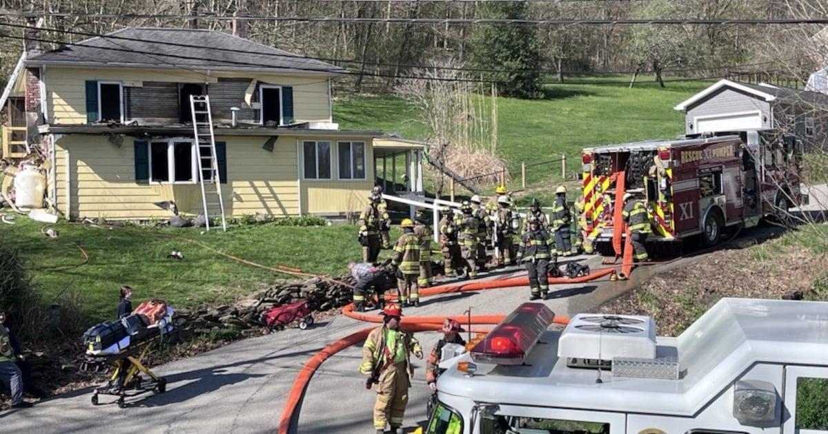 Dog killed in Elizabeth Township house fire