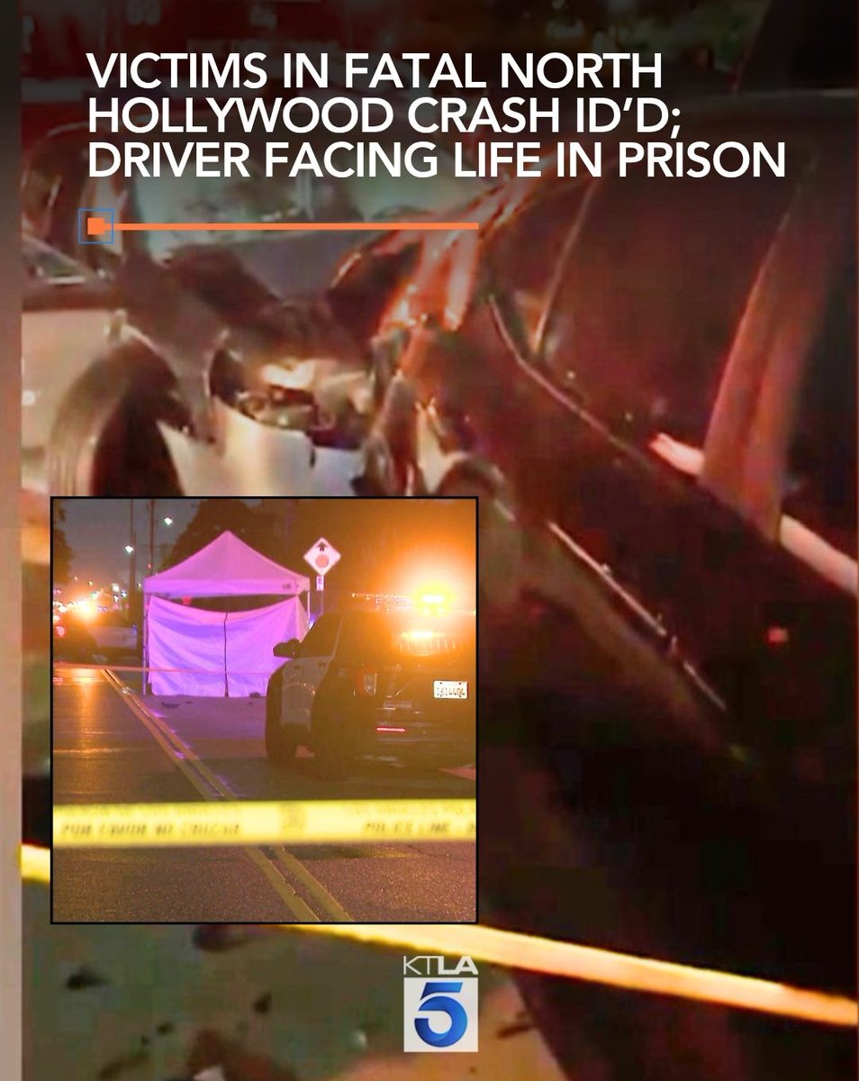 The victims, a man, 35, and a woman, 50, had just exited a car when they were fatally struck, investigators said