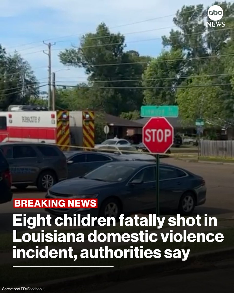 A gunman killed eight children, ranging in age from 1 to 14 years old, early Sunday in Shreveport, Louisiana, authorities said, describing the incident as a domestic disturbance.