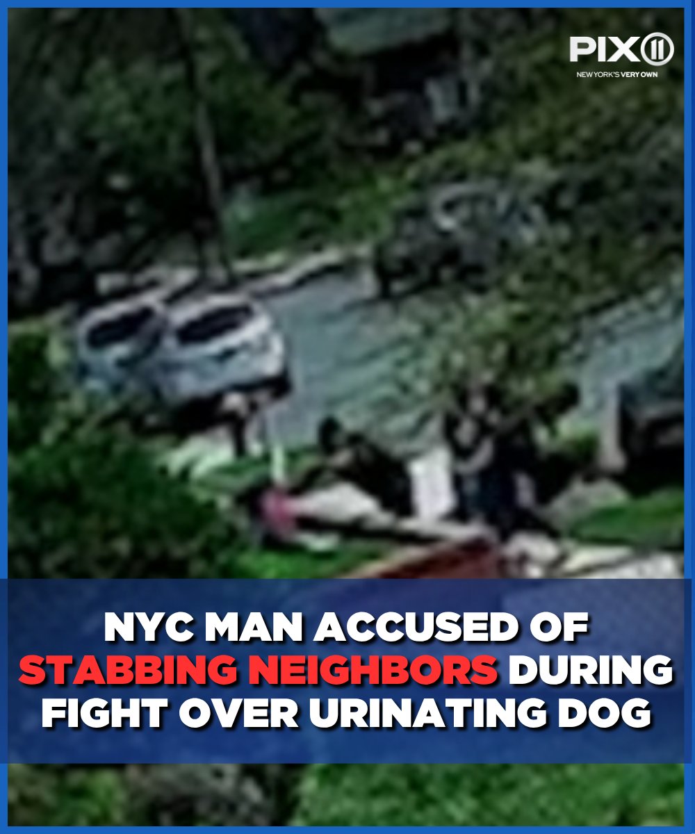 An alleged fight over a dog urinating on a lawn turned violent in a Queens neighborhood, leading to 3 people being stabbed.