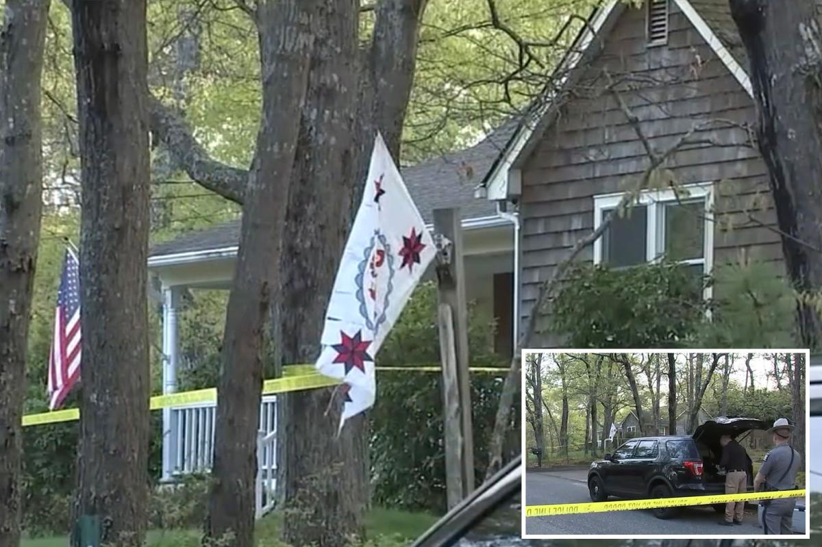 Maniac son stabbed disabled mom 40 times as she called policemen on Mother's Day: officials