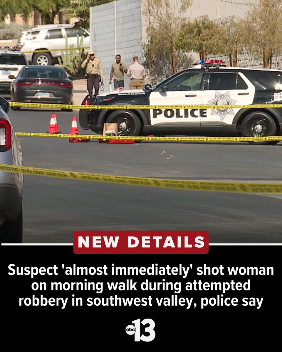 New details from an arrest report for the suspect accused of fatally shooting a woman on her morning walk in the southwest valley