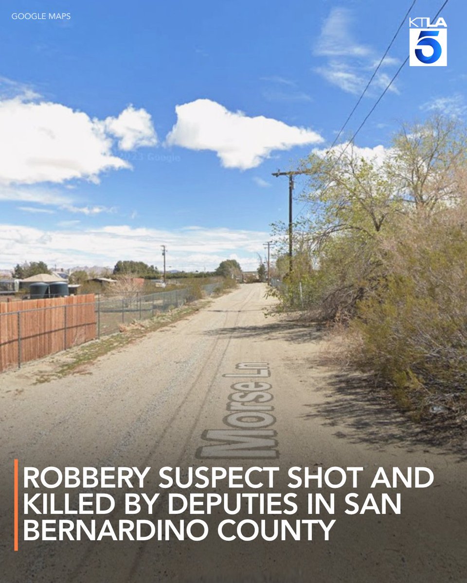 A robbery suspect accused of striking a deputy with his car was shot and killed by authorities in Lucerne Valley