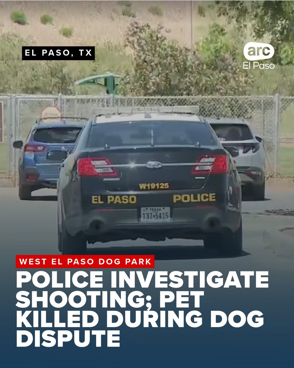 Police investigate a shooting at a West El Paso dog park on Monday morning, after a dog was shot and killed during a dispute with another dog