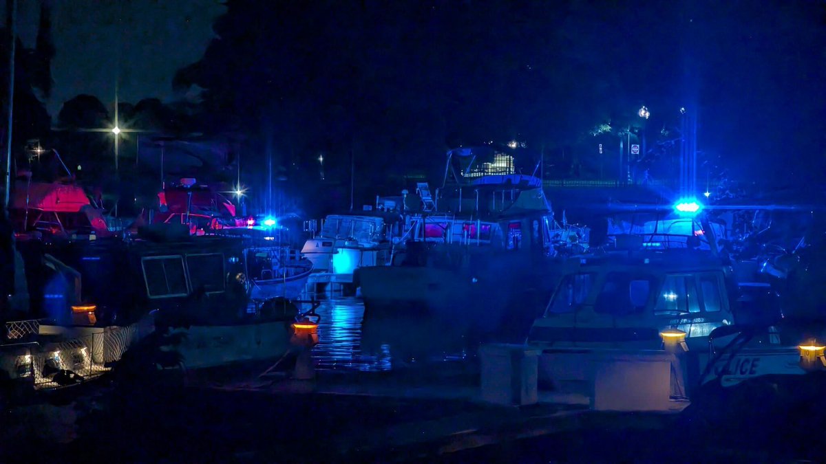 A man was rescued after reportedly falling into the water from a dock at James Creek Marina on the 200 block of V St SW . He was transported to a hospital in critical condition