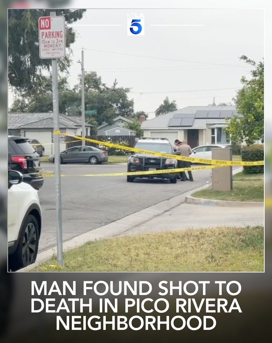 A man was found shot to death in a Pico Rivera neighborhood early Thursday morning, prompting a homicide investigation by Los Angeles County Sheriff's Department detectives