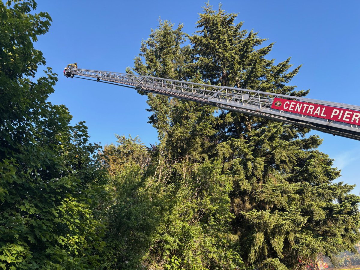 Firefighters responded to a structure fire in the 14100 block of Meridian Ave E in the South Hill area yesterday evening. A large column of smoke was visible as crews responded, leading to additional resources being dispatched. Upon arrival, firefighters found a detached