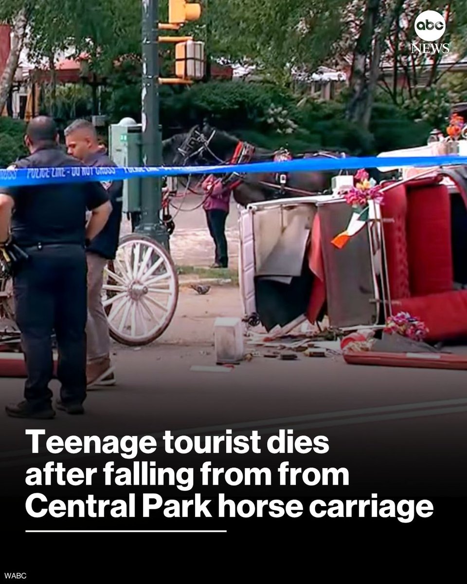 An 18-year-old man who was visiting New York with his family died Wednesday after falling from a runaway horse carriage in Central Park, police said