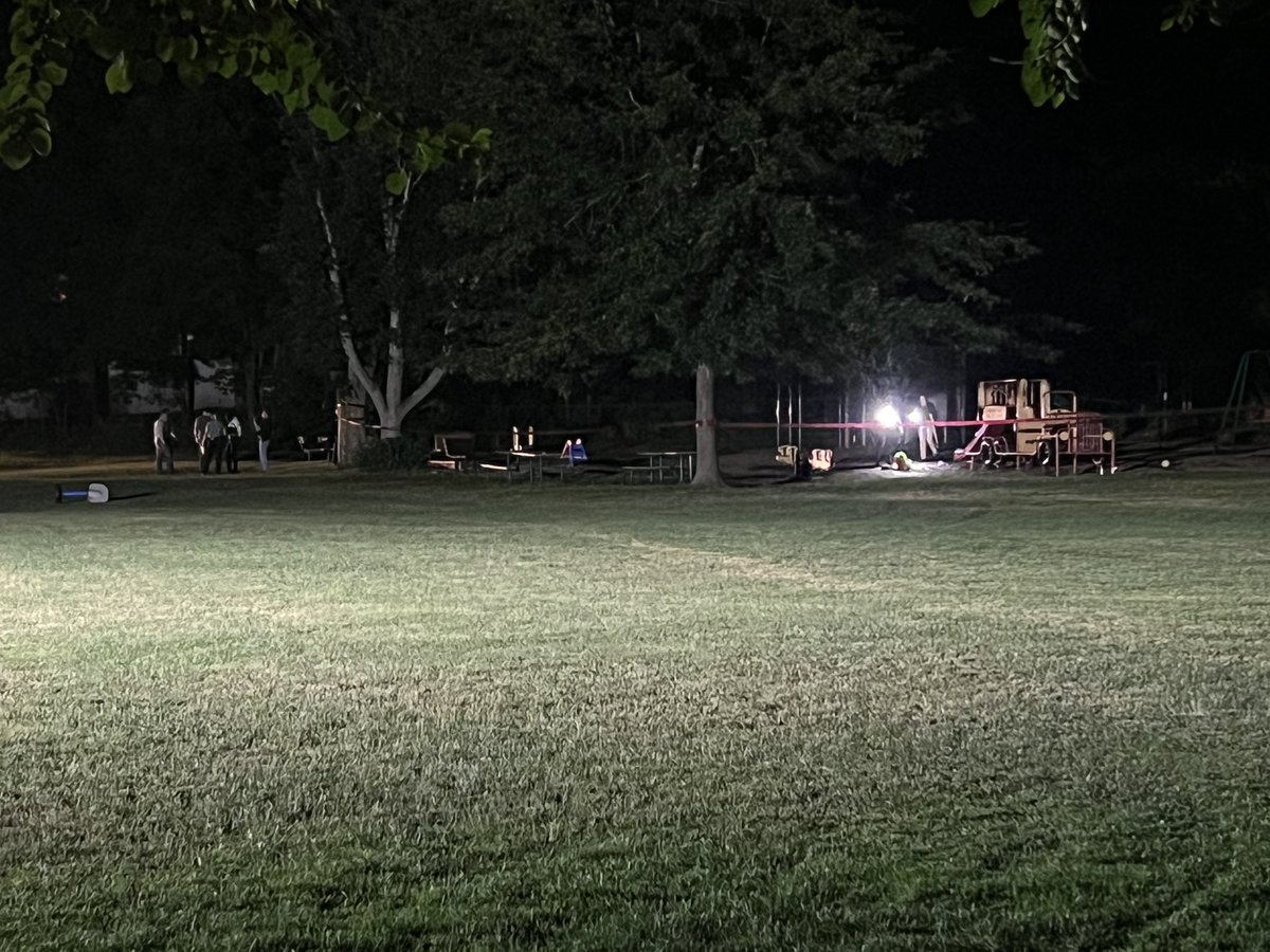 Man stabbed in Wellesley's Phillips Park pronounced dead. 26-year-old suspect is in custody