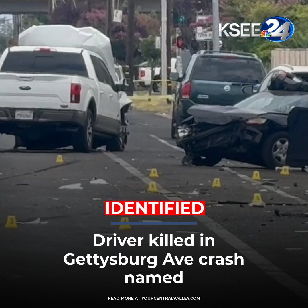 Fresno Police said the driver of the black sedan died from their injuries at the scene, along with their dog