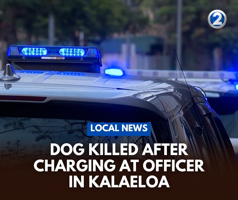 A dog was shot and killed after an incident in Kalaeloa.