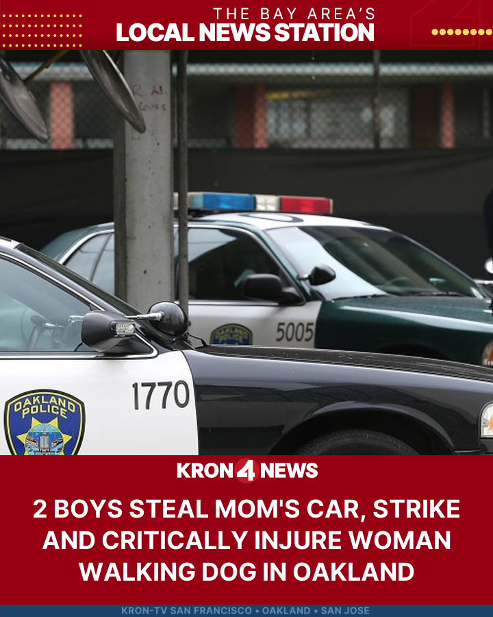 2 boys steal mom's car, strike and critically injure woman walking dog in Oakland
