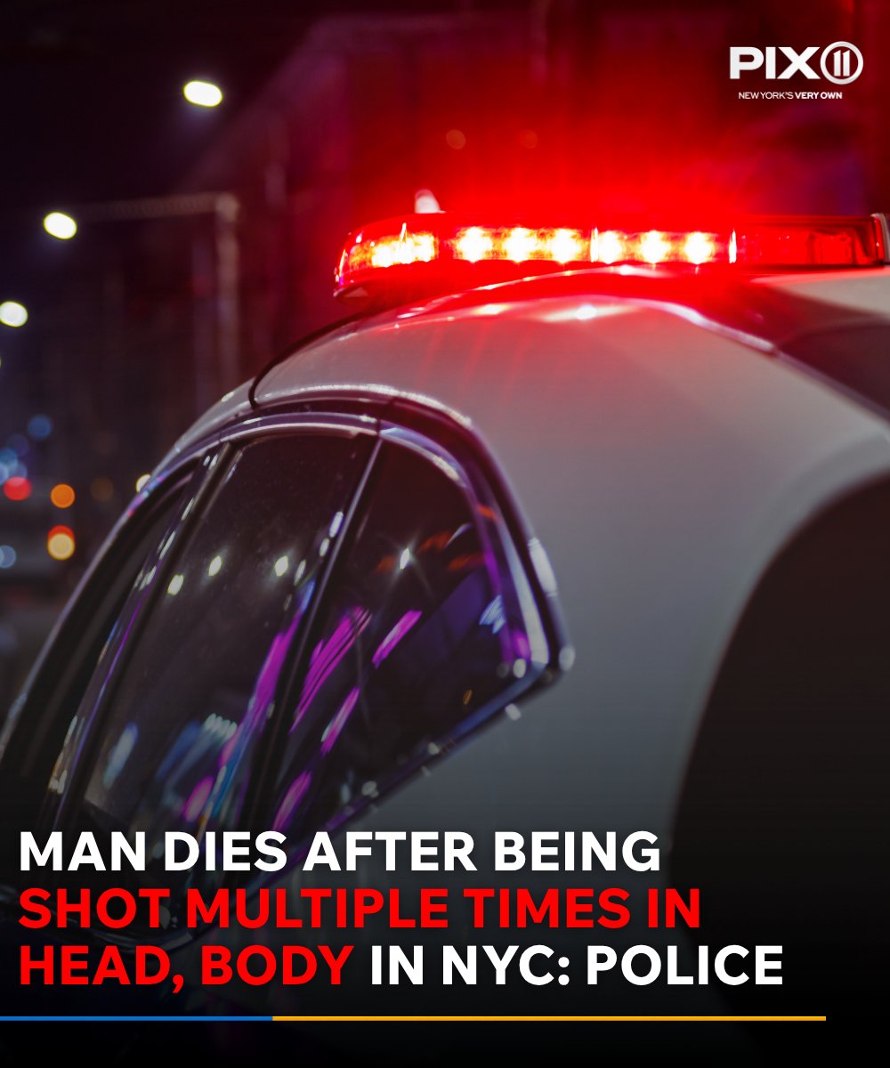 A man died after being shot multiple times in the head and body during the early morning, no arrests have been announced.