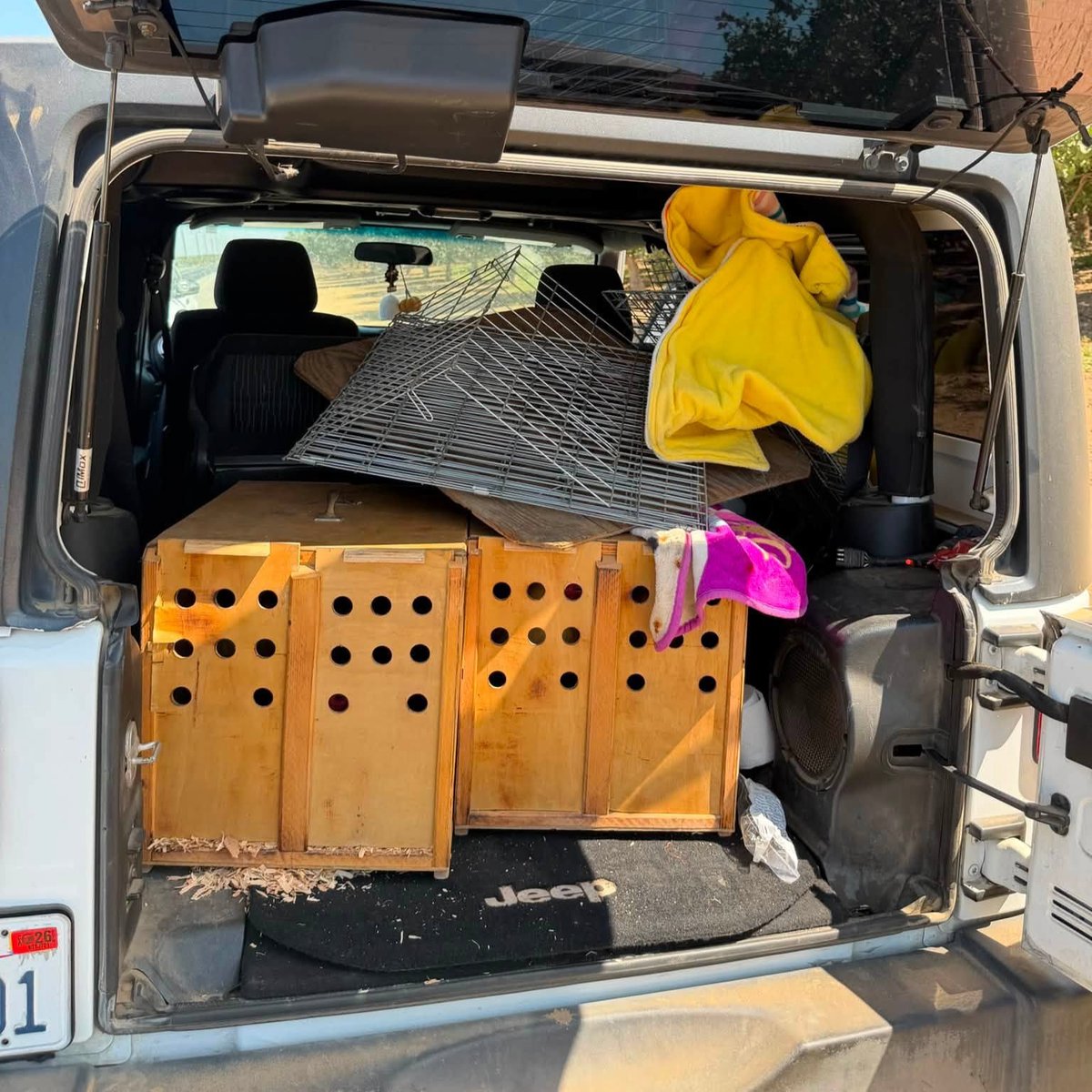 Four people were arrested after the discovery of an organized rooster-fighting event in Tulare County. Around 30 live roosters and several dead ones were found.