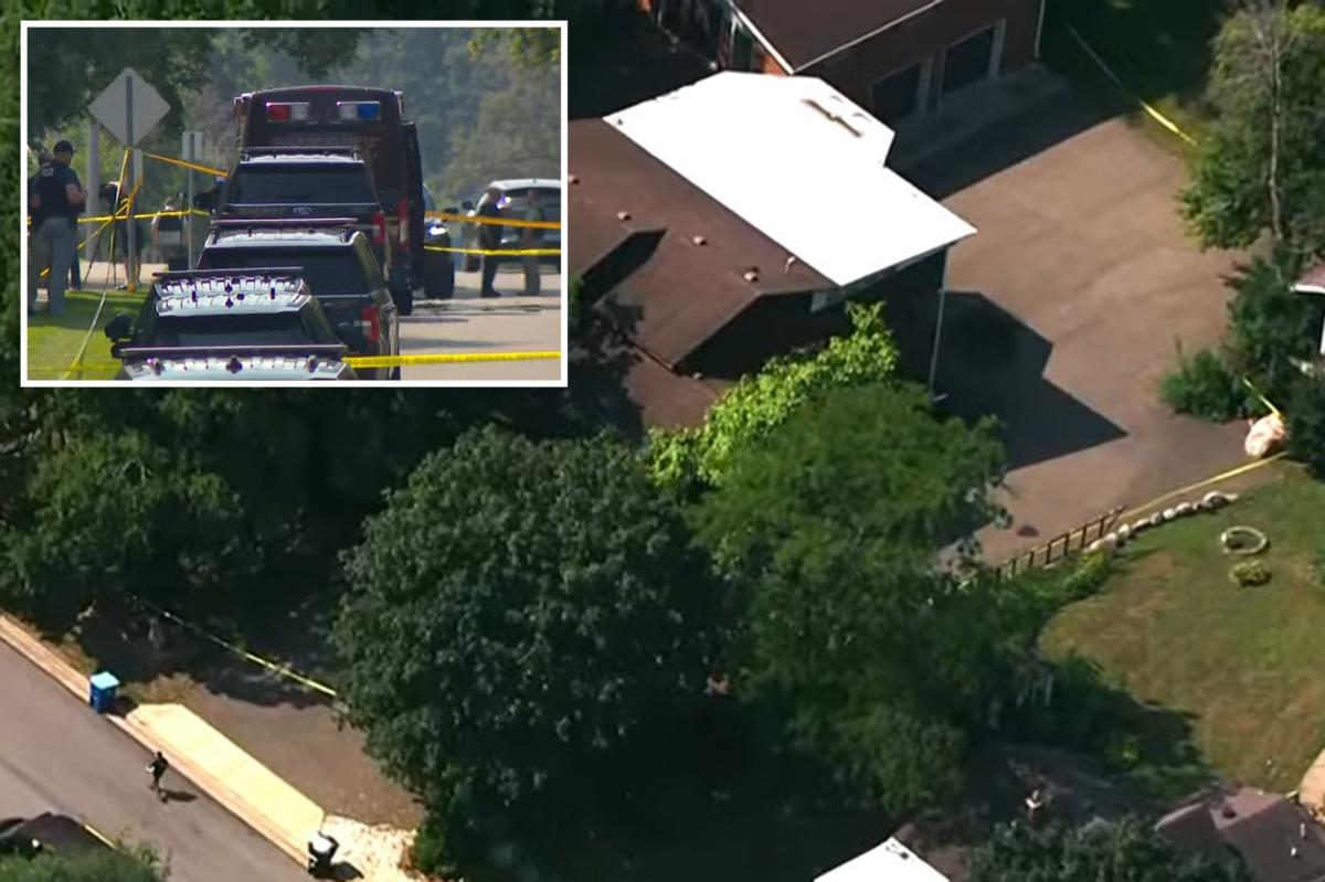 3 dead, including child, in horrific suspected murder-suicide in front of young kids at Minnesota daycare. The victims were found dead at Brown Bear Daycare, an in-home daycare in Hopkins