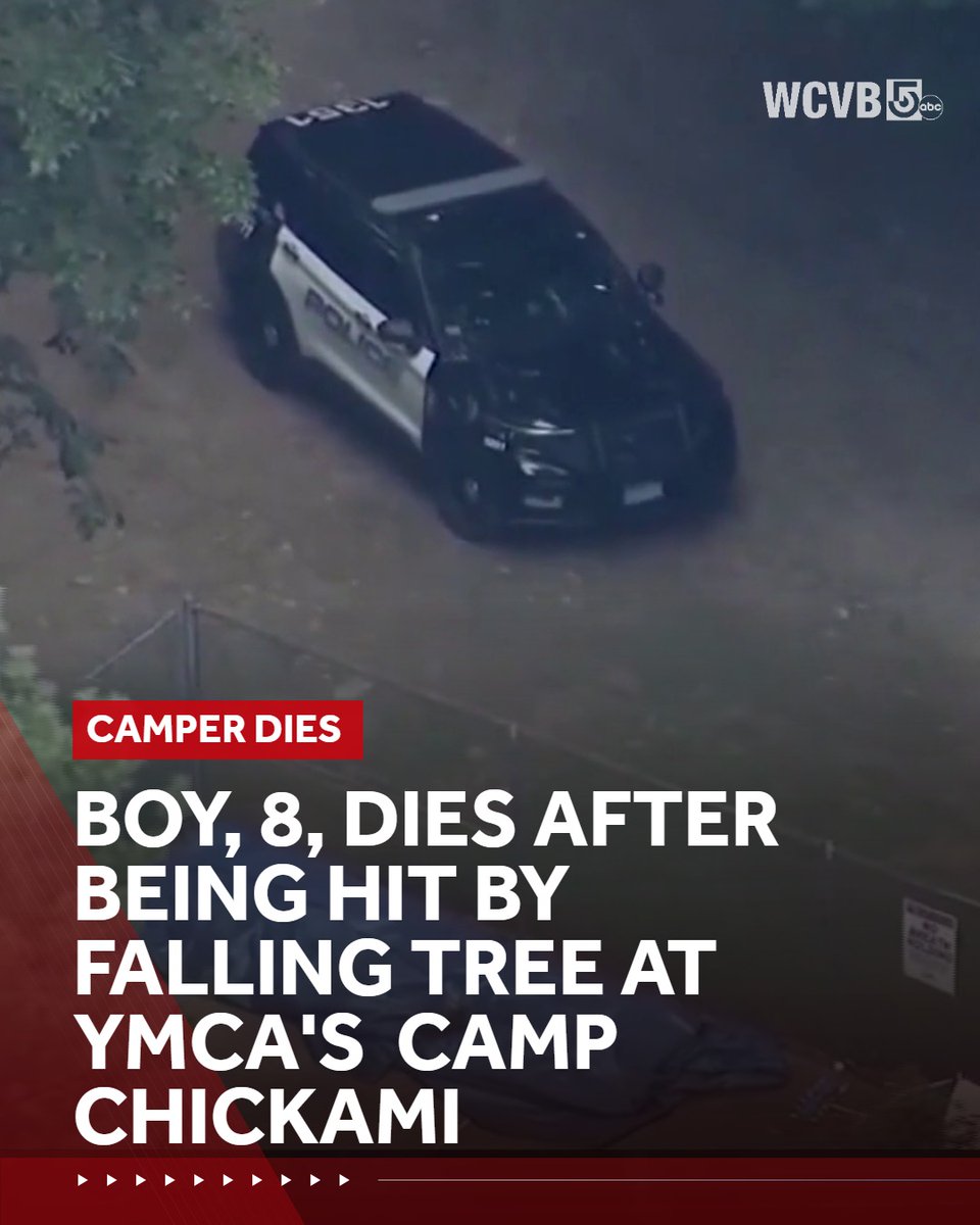 An 8-year-old boy from Sudbury, Massachusetts, who was hit by a falling tree at a summer day camp in Wayland on Tuesday, has died, according to the West Suburban YMCA