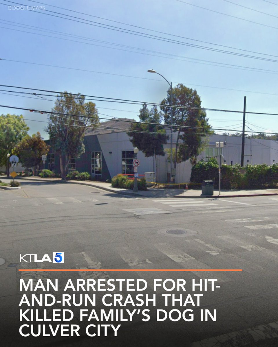 A man was arrested for a hit-and-run crash that killed a family's dog in Culver City.