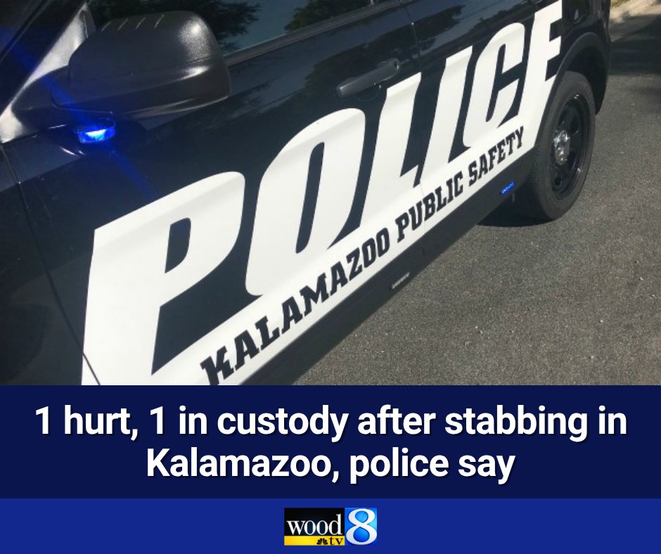 A suspect is in custody after someone was stabbed in Kalamazoo early Wednesday, police say