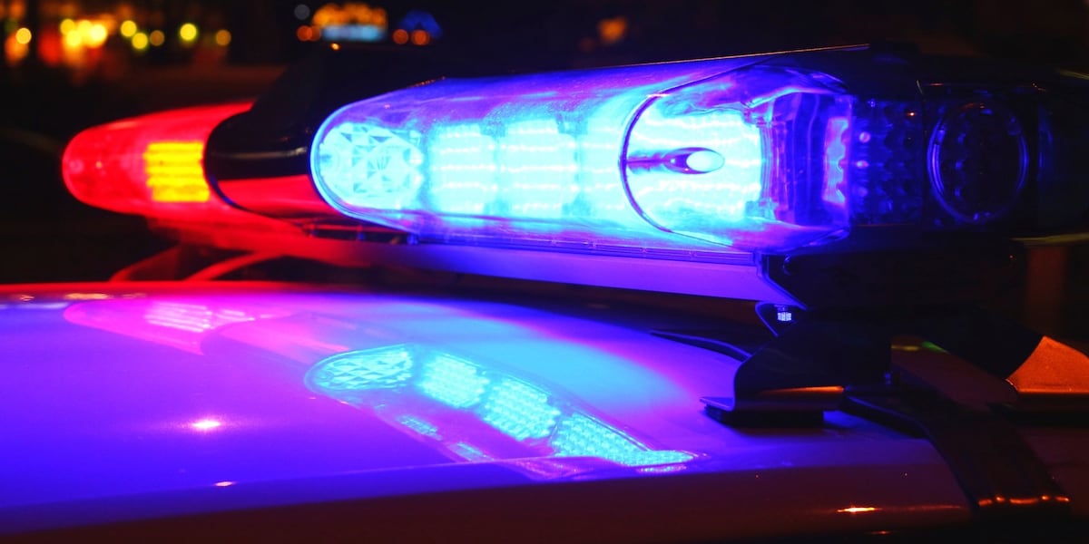 1-year-old playing outside hit, killed as aunt moved her car, police say