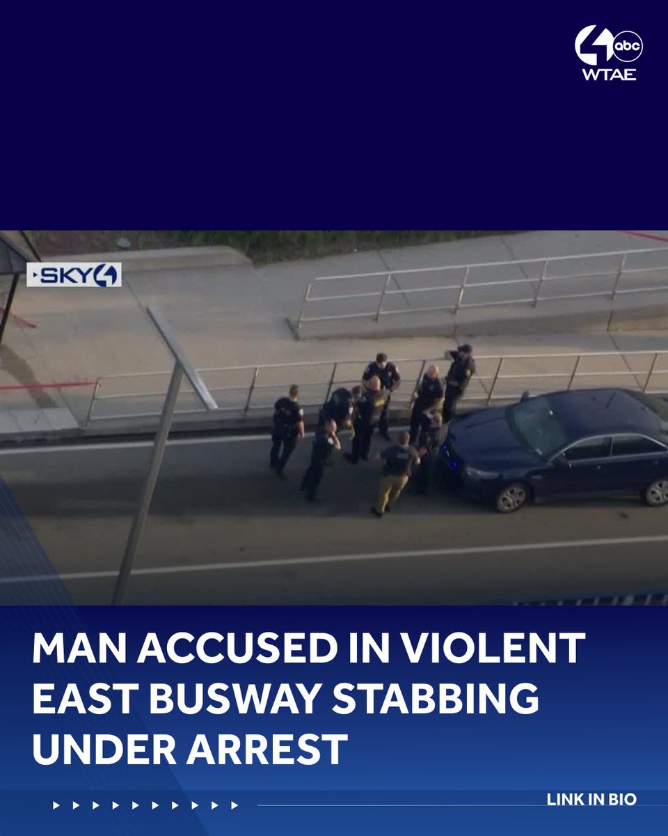 Man accused in violent East Busway stabbing under arrest