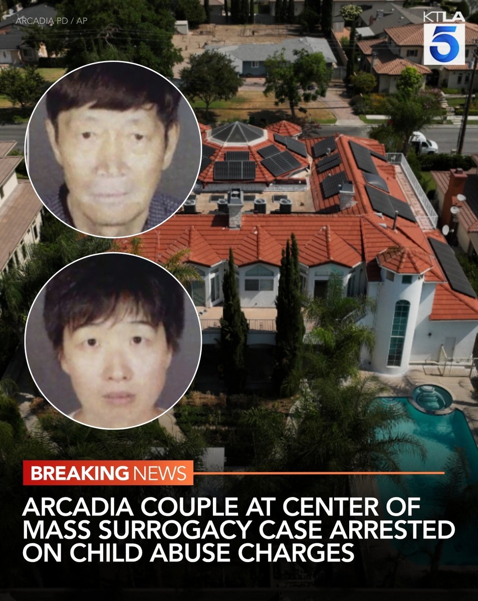 An Arcadia couple at the center of a mass surrogacy case has been arrested on child abuse charges, the DA announced