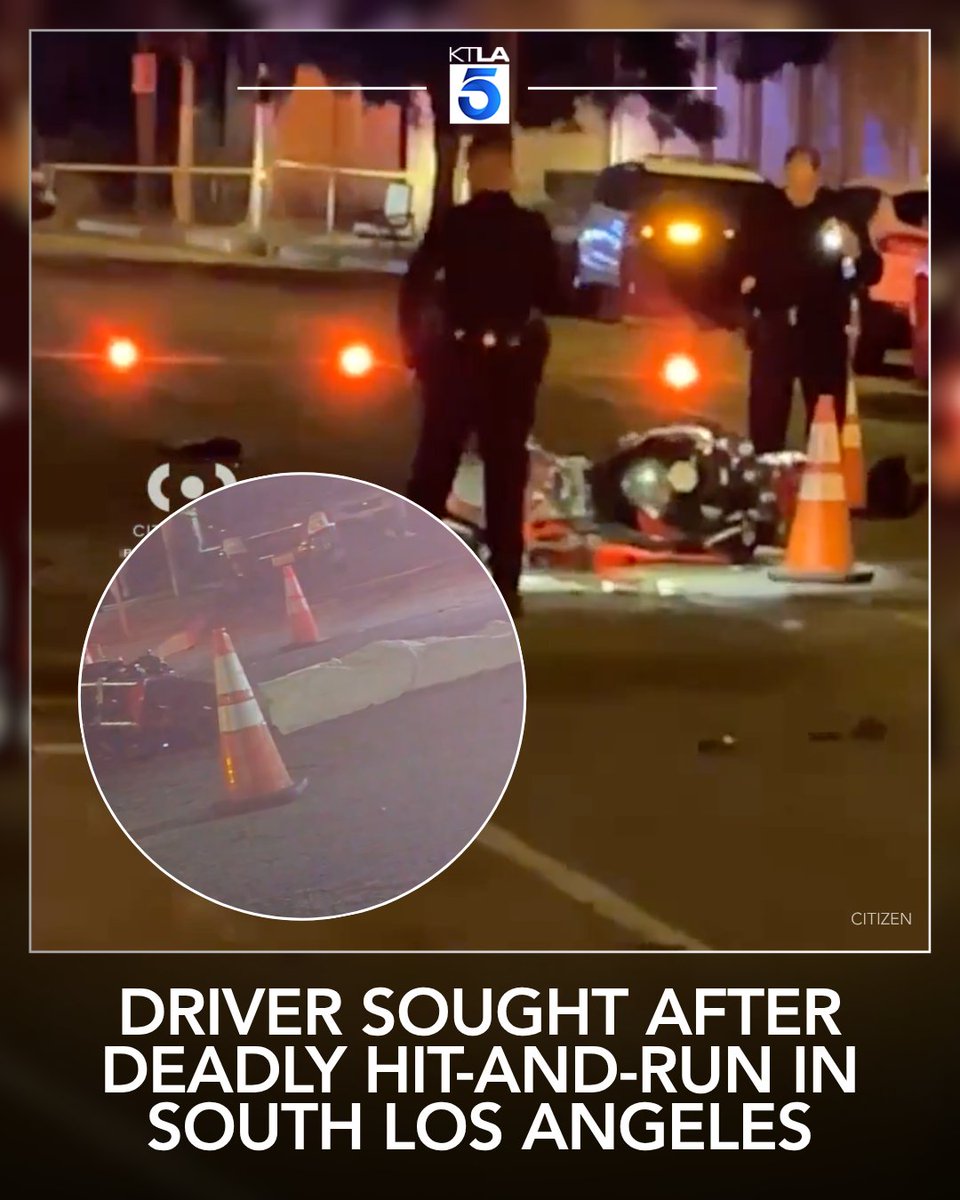 Police are searching for a driver who fled after fatally striking a person in South Los Angeles late Saturday night