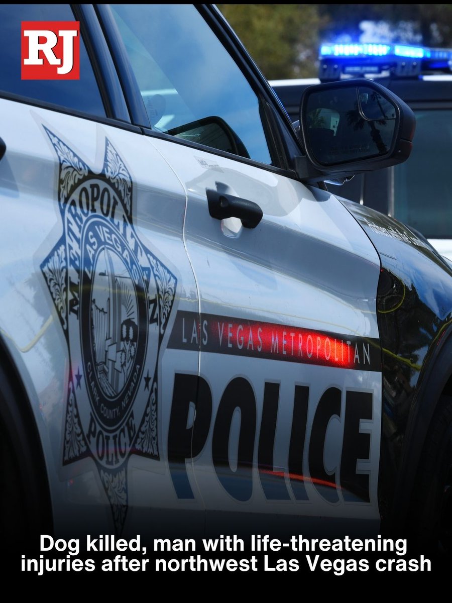 A man suffered life-threatening injuries and a dog was killed in a crash Sunday evening in the northwest Las Vegas Valley, police said